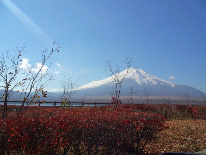 長池親水公園からの富士山