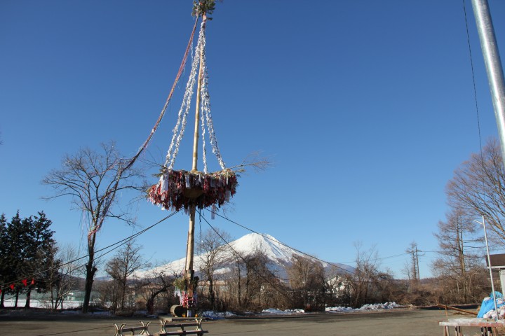 富士山と御神木