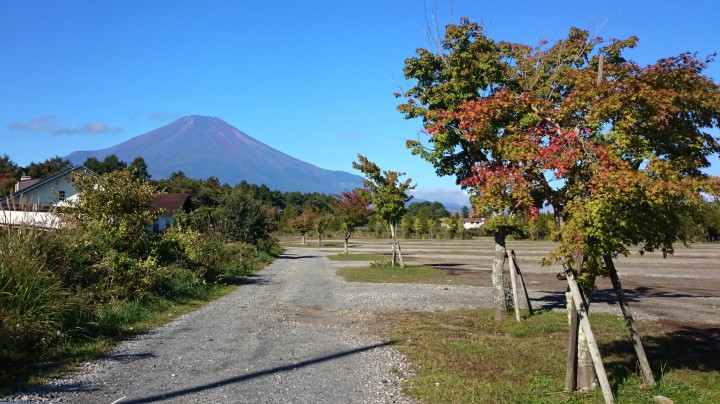 富士山が綺麗です、山中湖は秋晴れです。