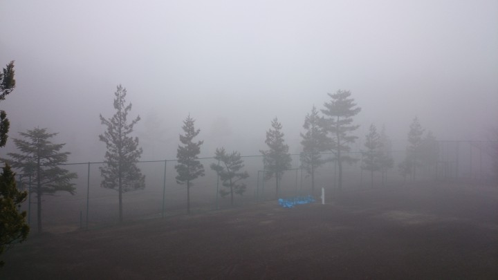 今日も濃霧