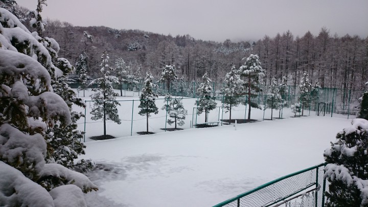 テニスコートが雪で真っ白です