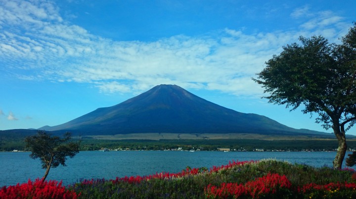 9月最後の今日、山中湖は富士山がとても綺麗です。