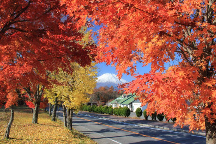 真っ赤な紅葉から富士山を撮りました