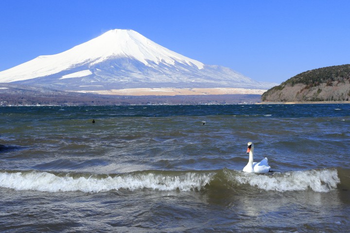 富士山は雪で真っ白になりました