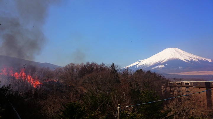 春恒例の、山中湖「明神山」の火入れが行われました
