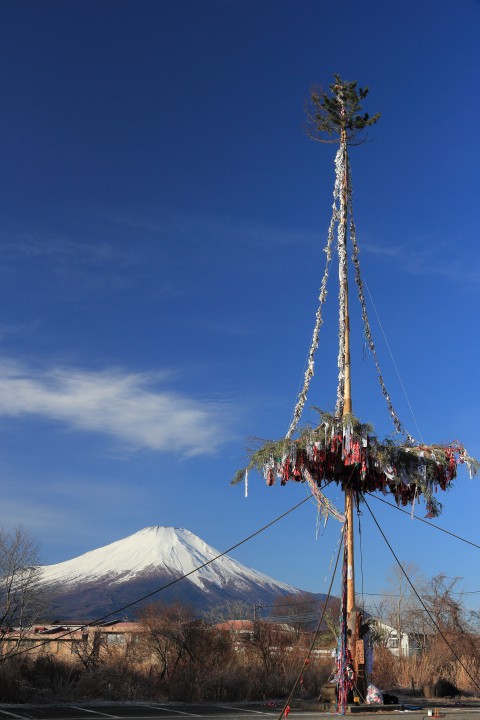 御神木と富士山