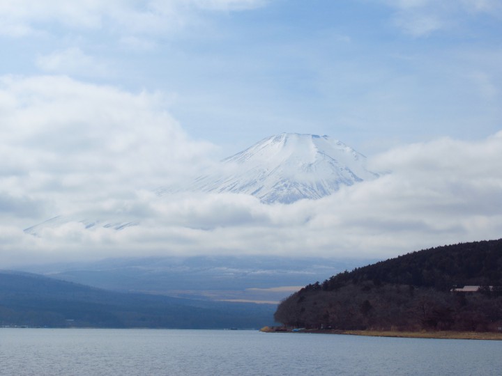 富士山が顔を出しました。