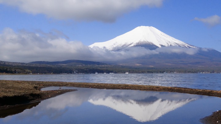 山中湖からのさ富士山、山頂にはまだまだ雪がたっぷりです。