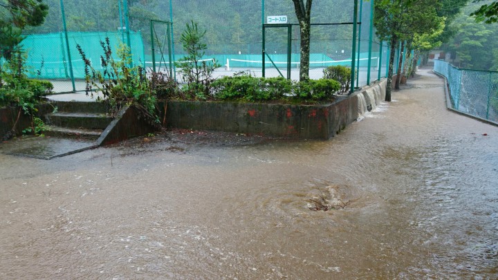 台風12号は庭バケツで総雨量250mmでした。渦が出来ていました。