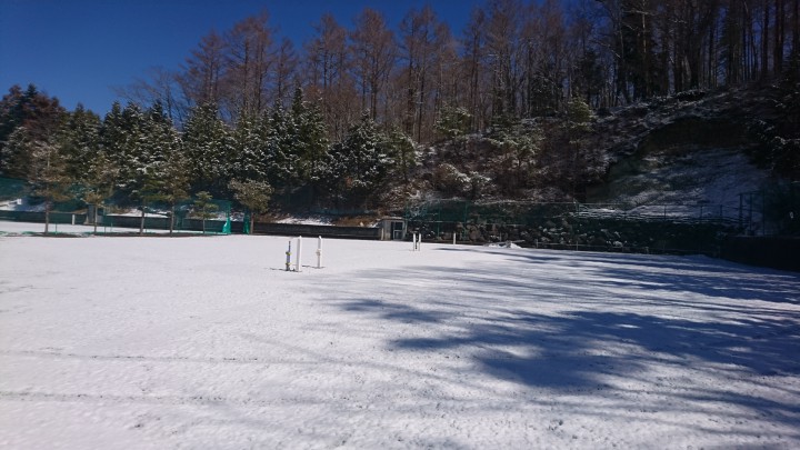 真っ白なテニスコート、午後には解けて雪は無くなりました。