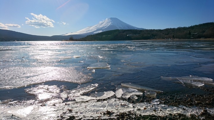 山中湖、岬から平野浜まで凍りました