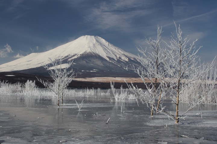 山中湖の『霧氷』　-17.5℃の世界　　〜毎日更新　山中湖情報〜