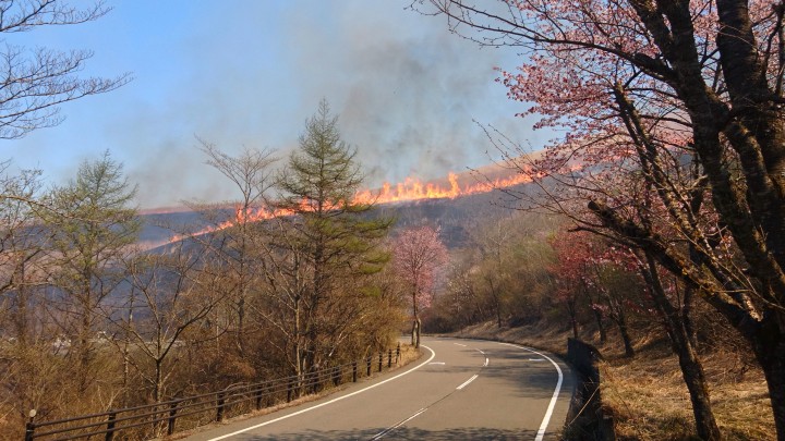 山中湖、明神山の火入れが行われました。