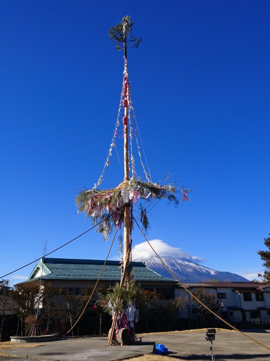 2024富士山と御神木