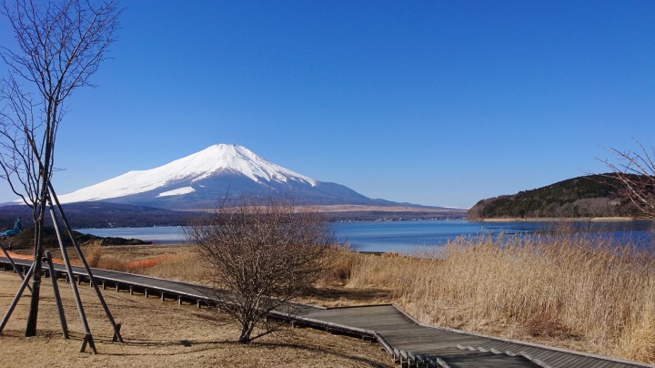 「きらら」からの富士山