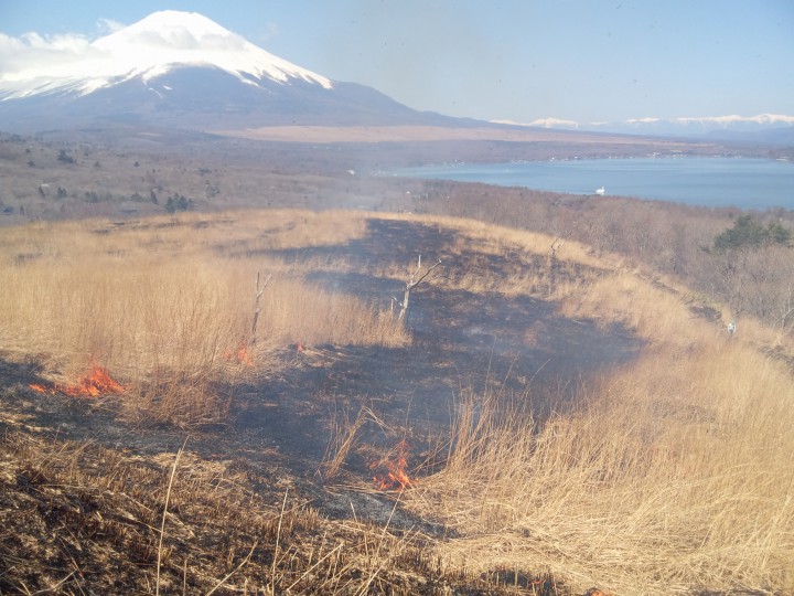 山中湖明神山の火入れ（野焼き）　2012