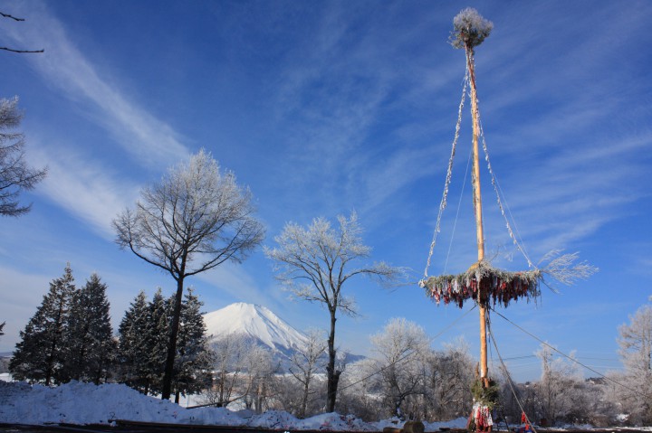 御神木と富士山
