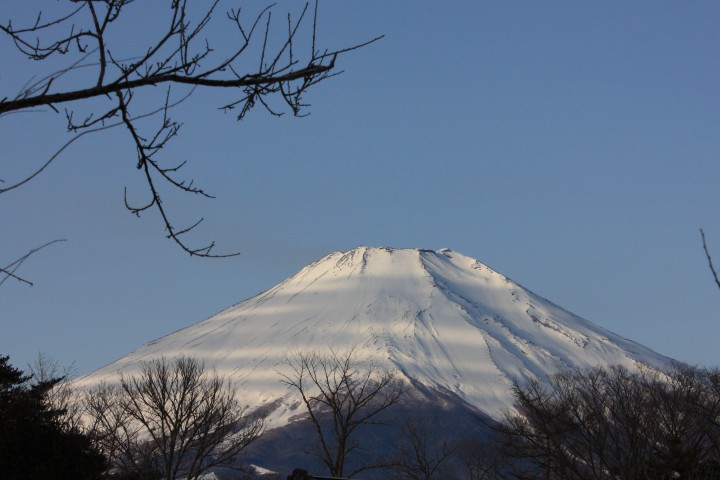 ボーダー柄の富士山が現れました