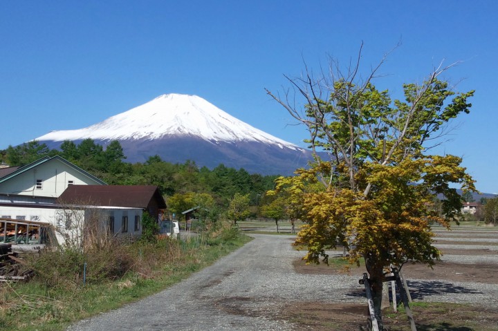 富士山に雪が降りました